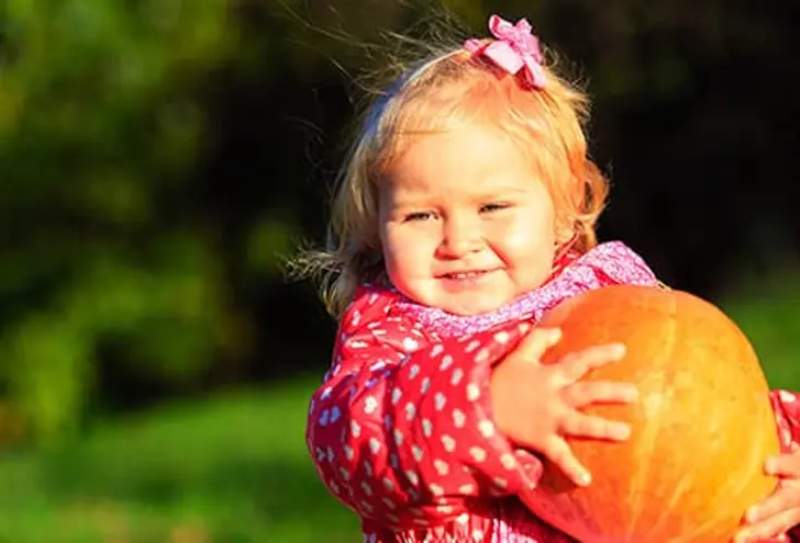 Autumn Harvest Autumn Harvest