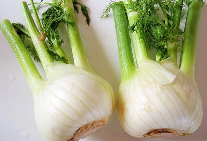 Fennel Fennel