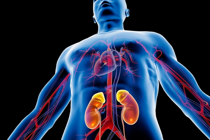 Angiotensin-Converting Enzyme (ACE) Inhibitors Angiotensin-Converting Enzyme (ACE) Inhibitors