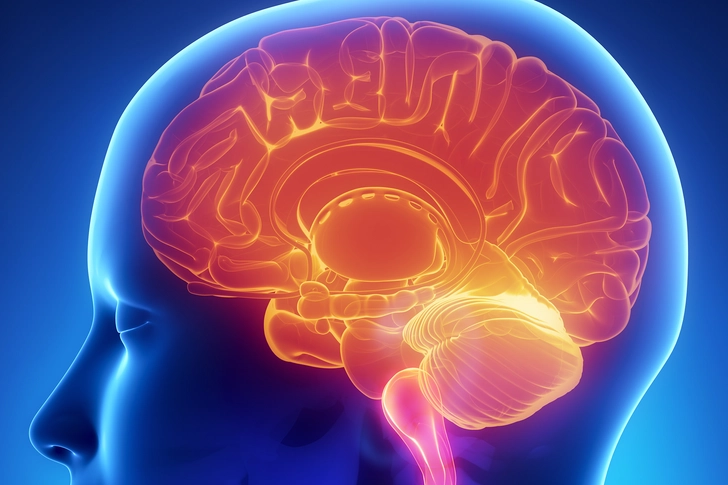 Brain Issues Brain Issues