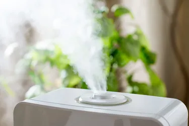 Humidifiers help put moisture back into dry, winter air. But if you have asthma or allergies, talk with your doctor before using it. (Photo Credit: iStock/Getty Images)