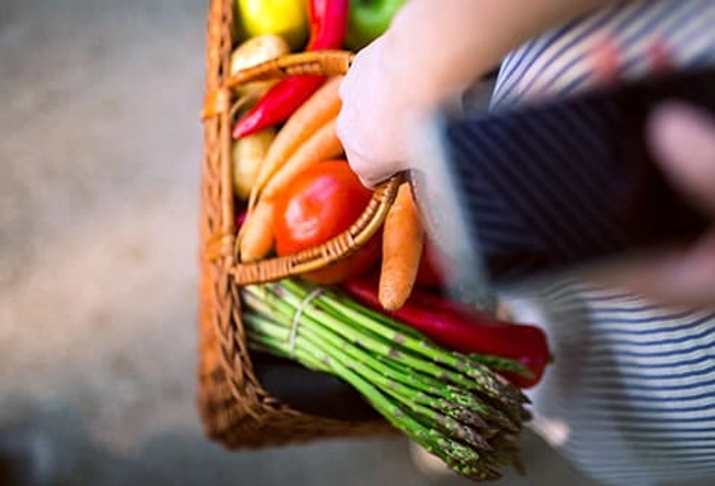 Why Your Diet Matters Why Your Diet Matters