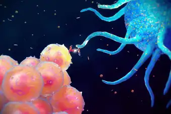 B-Cell Therapy and the Risk of Infection B-Cell Therapy and the Risk of Infection