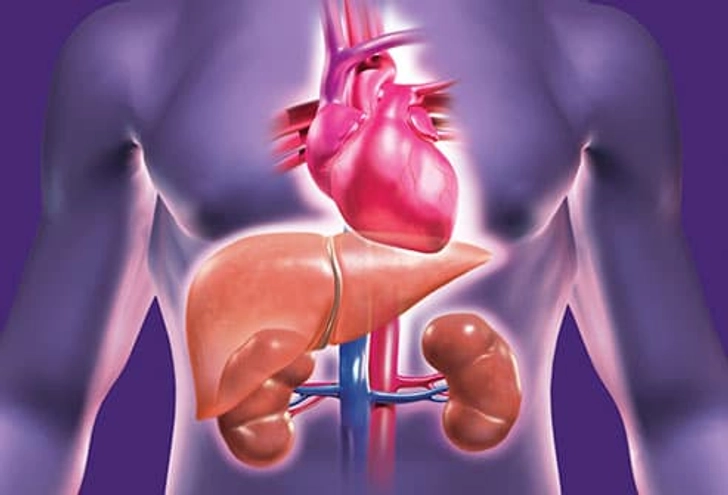 Long-Term Effects Long-Term Effects