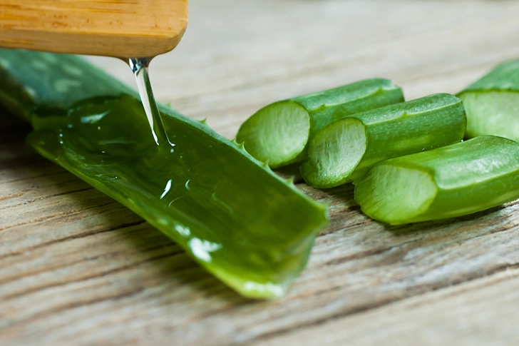 Aloe Vera
