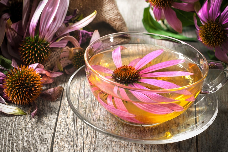 Echinacea