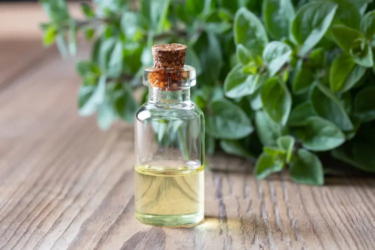Oregano Oil: Health Benefits, Nutritional Value, Uses and Risks