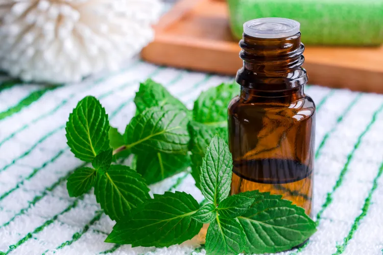 photo of peppermint oil