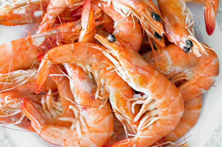 Food Allergy Food Allergy