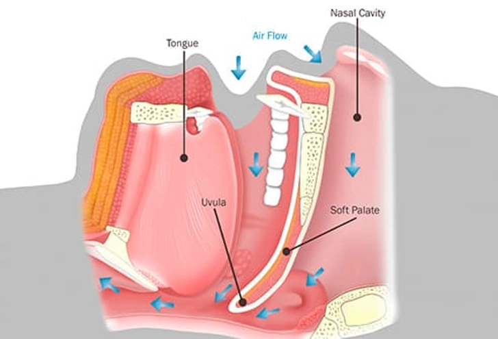 The Shape of Your Mouth The Shape of Your Mouth