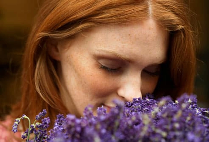 Sniff Some Lavender Sniff Some Lavender