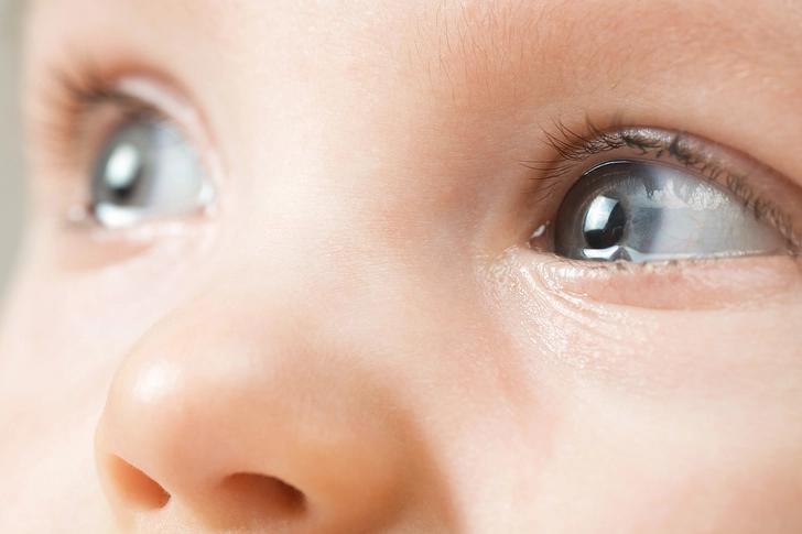 They cry without tears, at first.