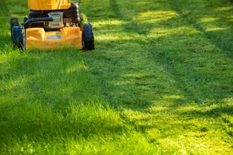 Get Someone Else to Mow Your Lawn Get Someone Else to Mow Your Lawn