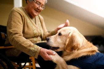Visit a Furry Friend Visit a Furry Friend