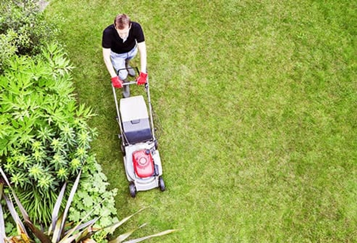 Mowing Injuries