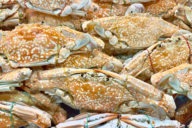 Chitosan Chitosan