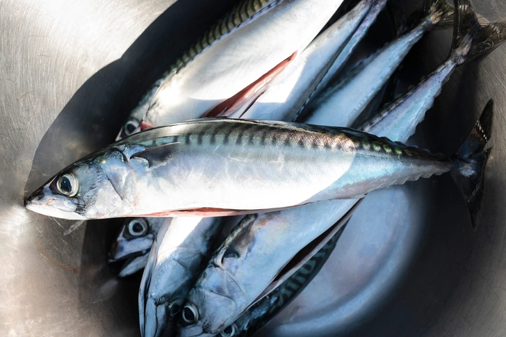 Fish Oil