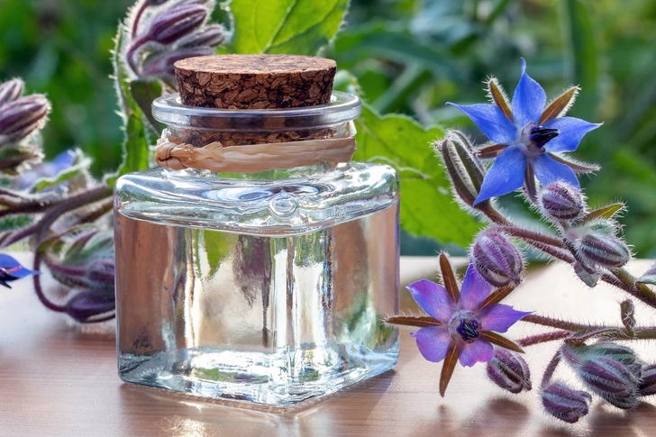 Borage Oil Borage Oil