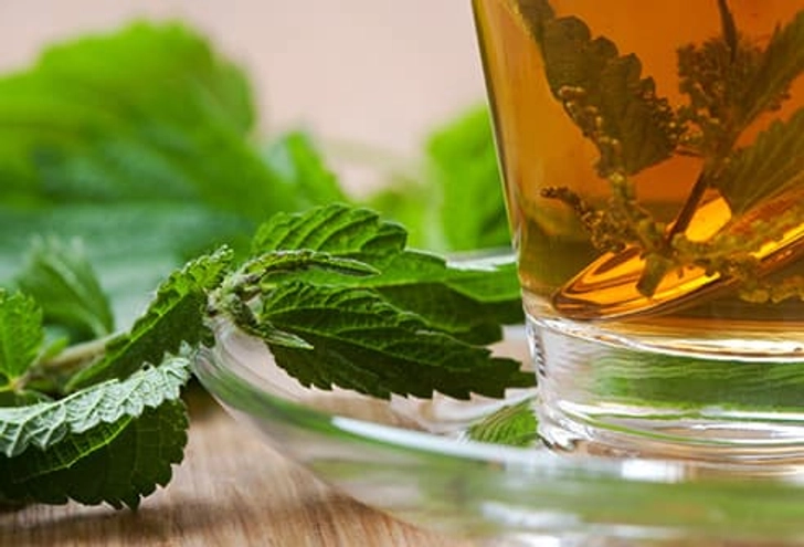 Stinging Nettle