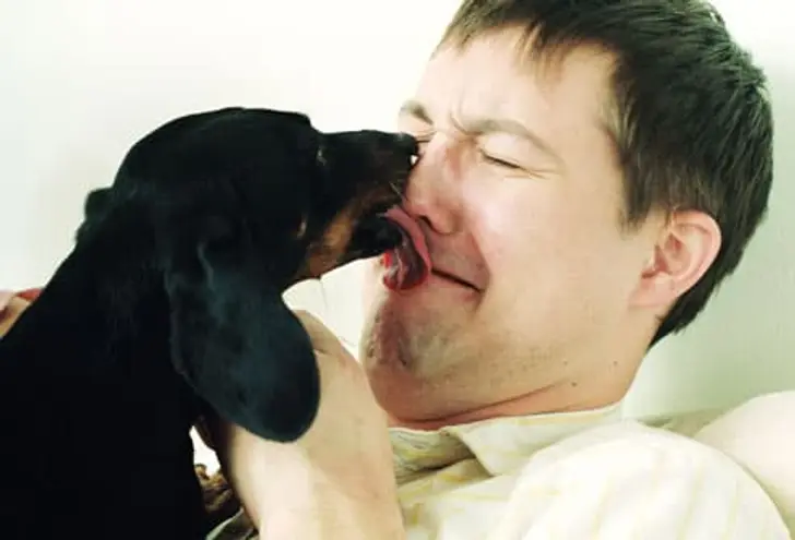 Fact: Dog Kisses Can Make You Sick Fact: Dog Kisses Can Make You Sick