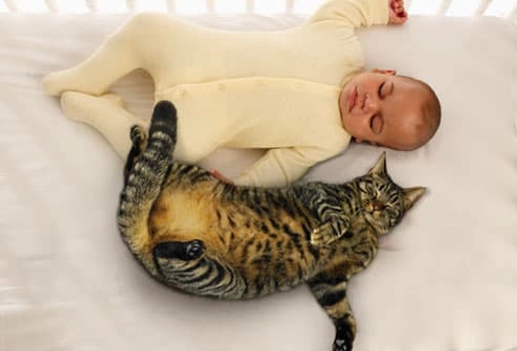 Myth: Cats Steal a Baby's Breath
