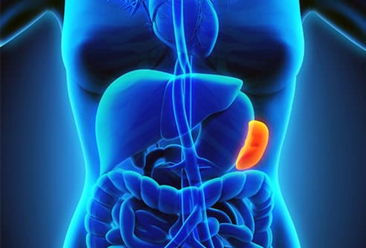 Blocked Spleen