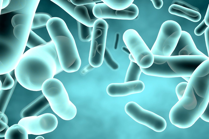 Too Many Bacteria Too Many Bacteria