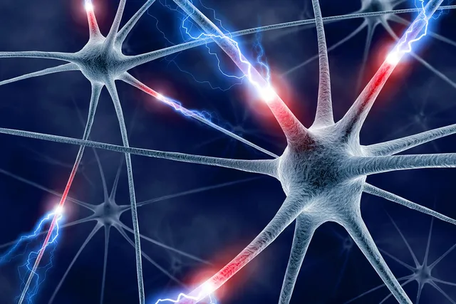 How B-Cell Therapy Helps Those With MS