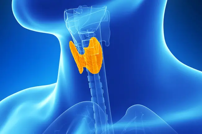 Problems With Your Thyroid