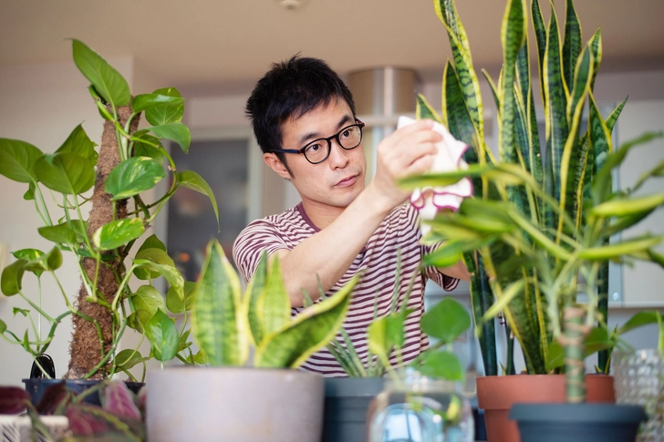 Perk Up Plants