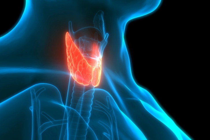 Autoimmune Thyroid Disorders Autoimmune Thyroid Disorders
