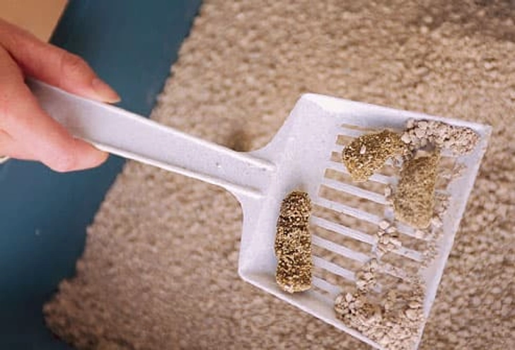 The Scoop on Litter Boxes The Scoop on Litter Boxes