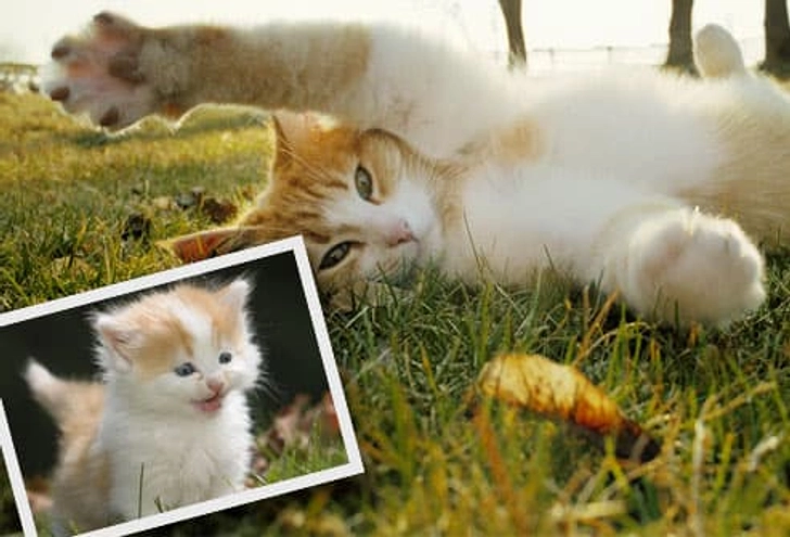 They Grow Up So Fast! They Grow Up So Fast!