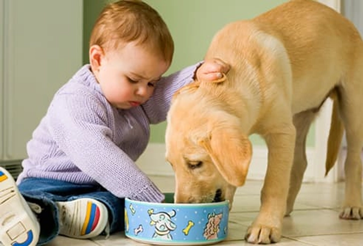 Keep Kids and Puppies Safe