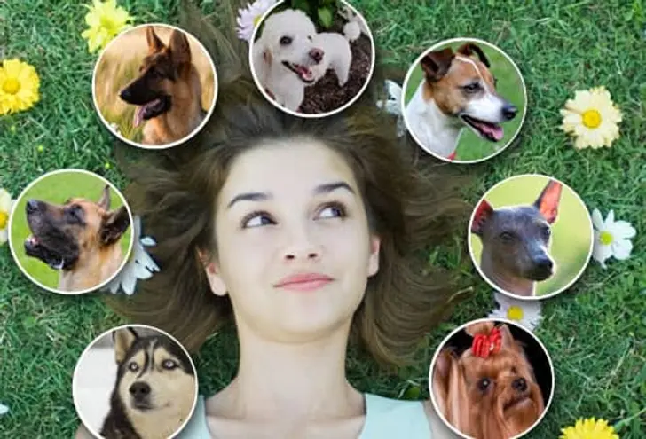 Why Do You Want a Puppy?