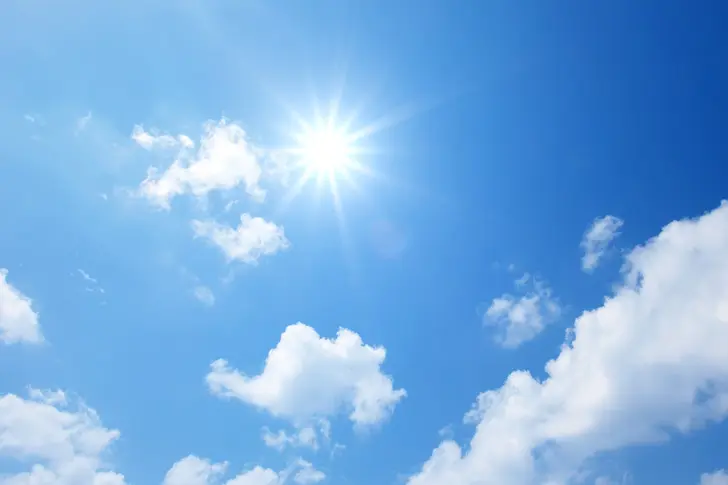 May Help Protect Against Sun Damage