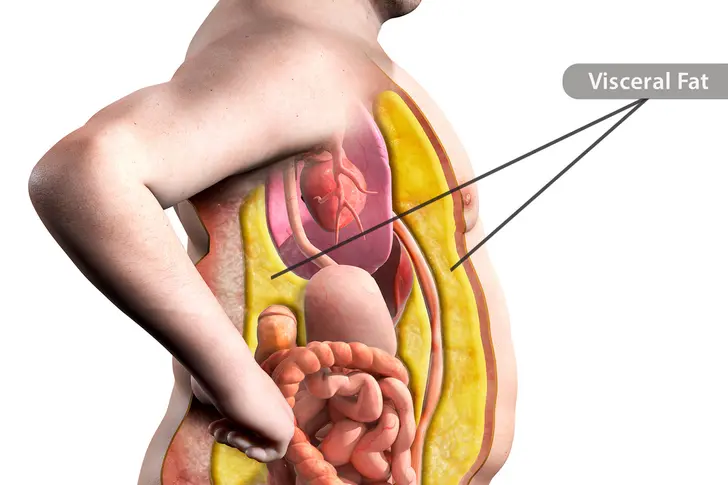 Belly Fat: More Than Skin Deep