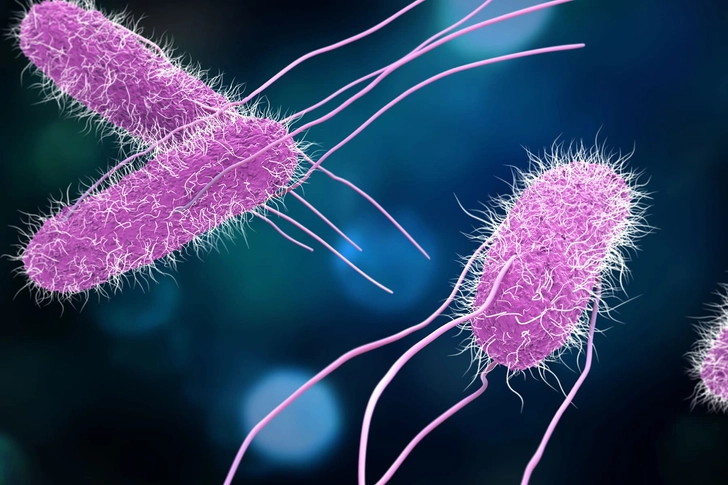 Foodborne Illness
