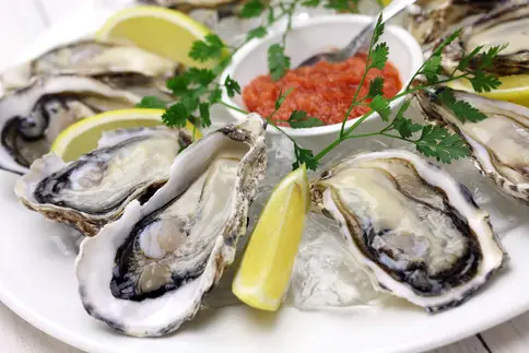 photo of raw oysters on the half shell