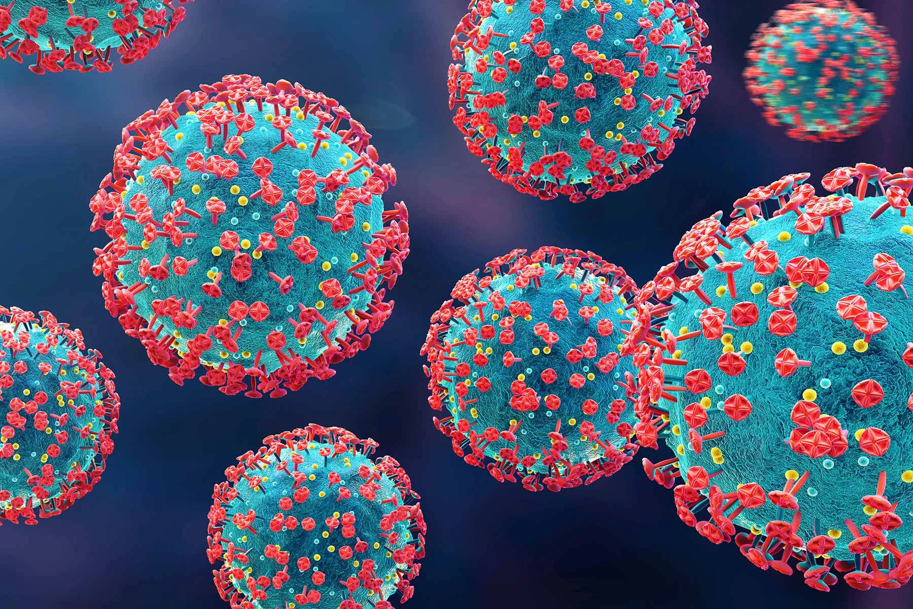 Life Of A Flu Virus