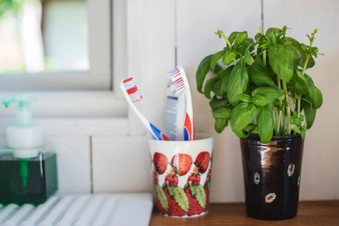 Tainted Toothbrush Holders Tainted Toothbrush Holders