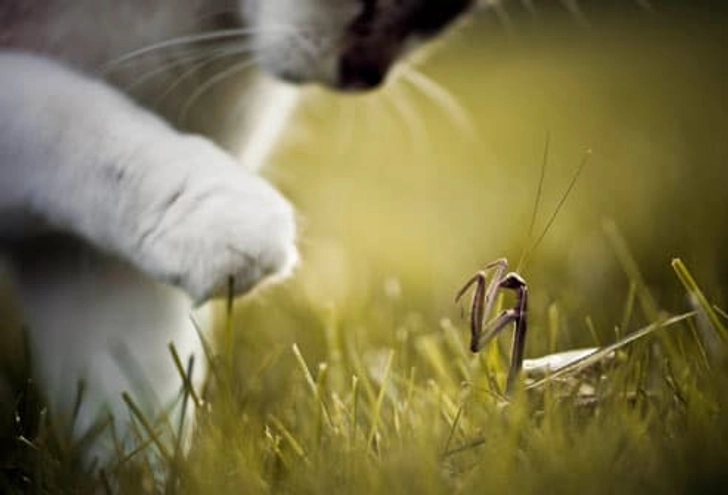 Maintain Curiosity