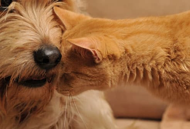 Cultivate Friendships Cultivate Friendships