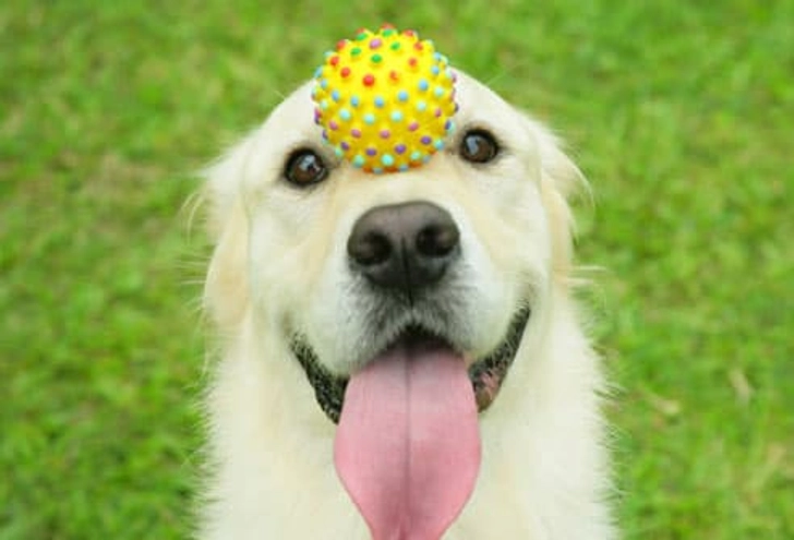 Be Silly