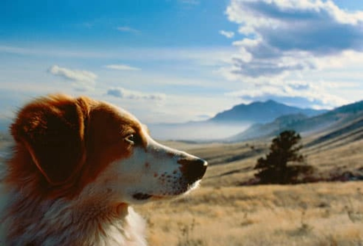 Enjoy the Great Outdoors Enjoy the Great Outdoors