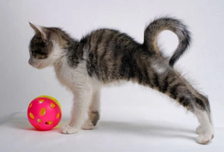 Stretch Often