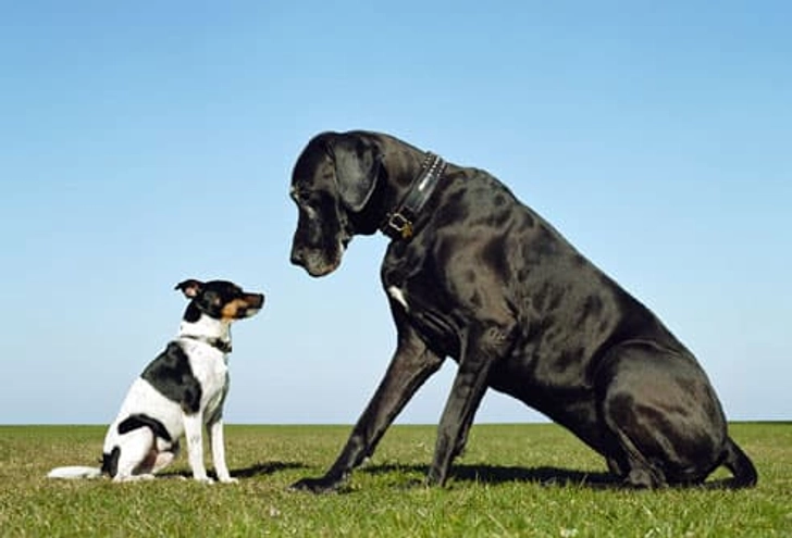 Be Aware of Body Language