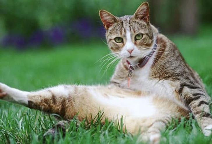 Make Time to Groom