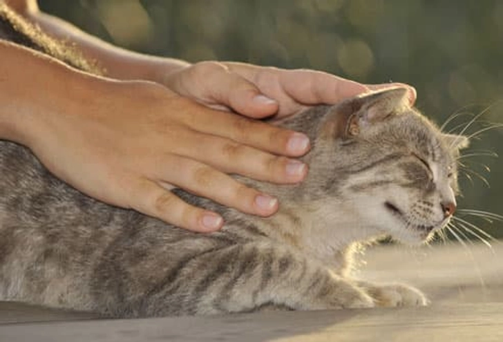 Get a Back Rub