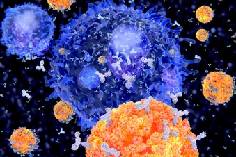Stopping Rogue Antibodies